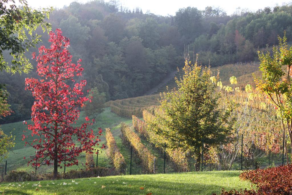 B&B Bricco Fiore Briaglia Esterno foto